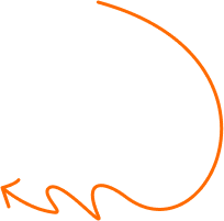Vector